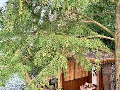 -东钱湖旅游度假区