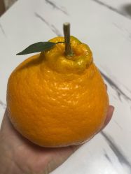 -Oasis Beauty水磨坊科技美肤中心