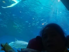 -海合安成都极地海洋公园