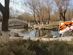 -丰台科技园生态主题公园