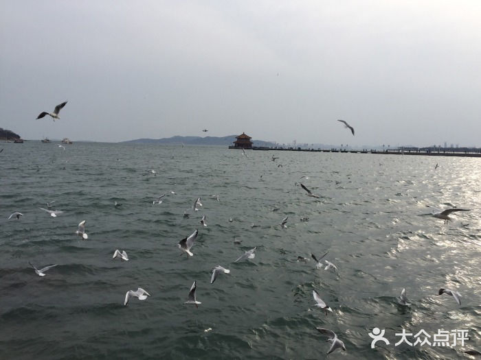 栈桥景区景点图片