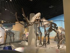 -国家自然博物馆