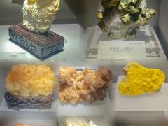 -湖南省地质博物馆