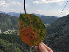 -京东石林峡风景区