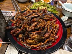 -柿子树炭烤羊腿(金台路店)