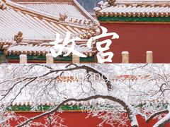 -西湖游船