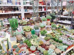 -秦美花卉(天朗·莱茵小城2期店)