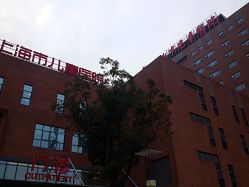 -上海市儿童医院(泸定路院区)