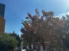 -映月湖中央公园