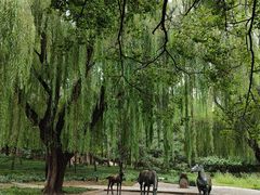 -元大都城垣遗址公园