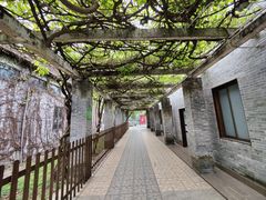 -大雁山风景区