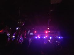 -坚果NUTS