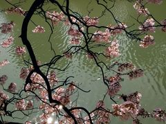 -成都市活水公园
