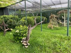 -齐齐哈尔龙沙动植物园