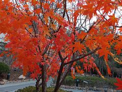 -国御温泉度假小镇