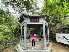 -羚羊峡古栈道森林公园