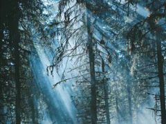 -硗碛藏寨·神木垒景区