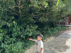 -中国大熊猫保护研究中心雅安碧峰峡基地