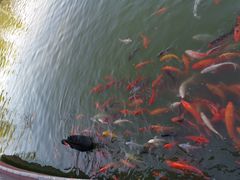 -春晖园度假酒店温泉