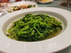 -宝园酒家(美林M·LIVE天地东座店)