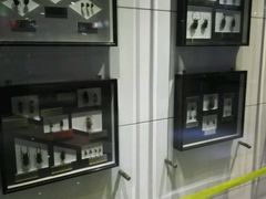 -上海昆虫博物馆