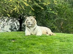 -北京野生动物园