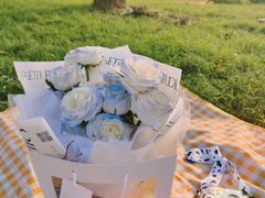 -山明水秀大饭店