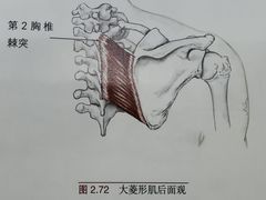 -美式FUN·健身馆