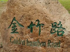 -火炉山森林公园