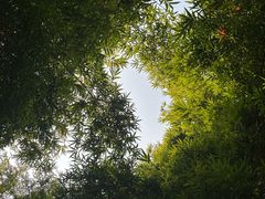 -三江森林温泉度假区