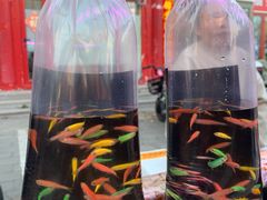 -华声天桥民俗文化园