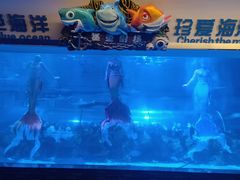 -成都浩海立方海洋公园