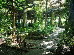 -广西壮族自治区药用植物园