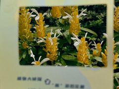 -广州花园酒店