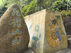 -西双版纳原始森林公园