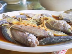 -海之鲜大排档(东山海鲜金銮湾店)