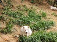 -云南野生动物园