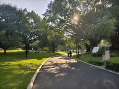 -南宁南湖公园