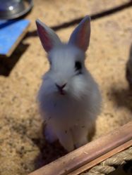 -酷嗒动物文化乐园(cutezoo西溪乐天城店)