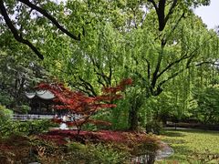 -申粤轩酒楼·三十年粤菜经典(丁香花园店)