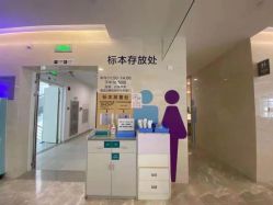 -天使医生VIP孕期孕检产检(市二医院店)