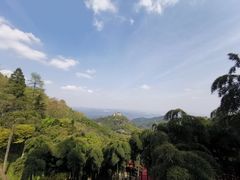 -莫干山风景区