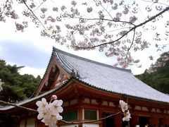 -醍醐寺