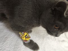 -惠康宠物医院(华能路店)