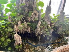 -广东泽正律师事务所