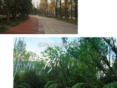 -天眼洞·花岭风景区