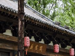 -合肥滨湖国家森林公园