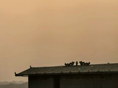 -仓山金山寺