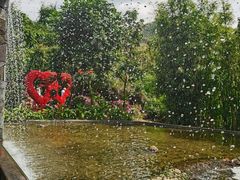 -亚龙湾热带天堂森林公园
