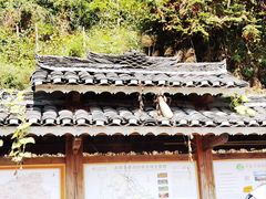 -龙脊梯田